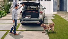 2023 Nissan Rogue with hatch open, a man with a leash and a dog illustrating cargo capacity.